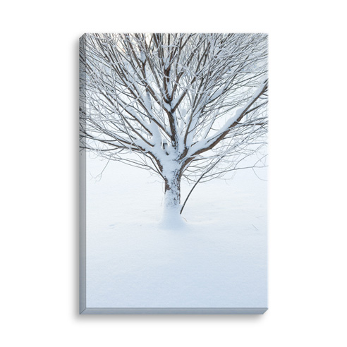 8x12 Mirrored Image Wrap